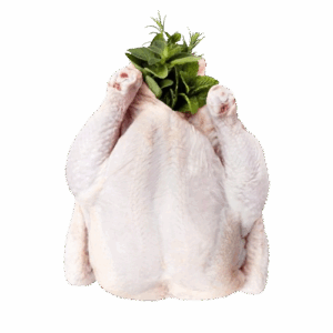 BODY MEAT